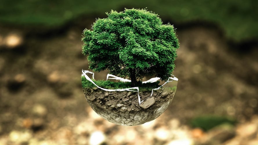 environmental-protection-683437_1280 environmental-protection-683437_1280